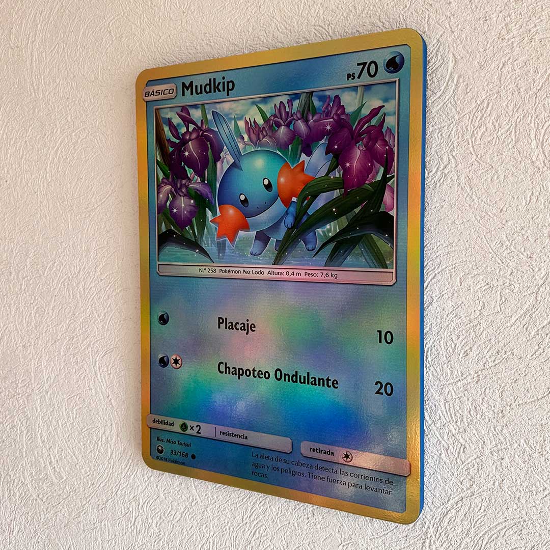 Cuadro Decorativo PKMN TCG Mudkip