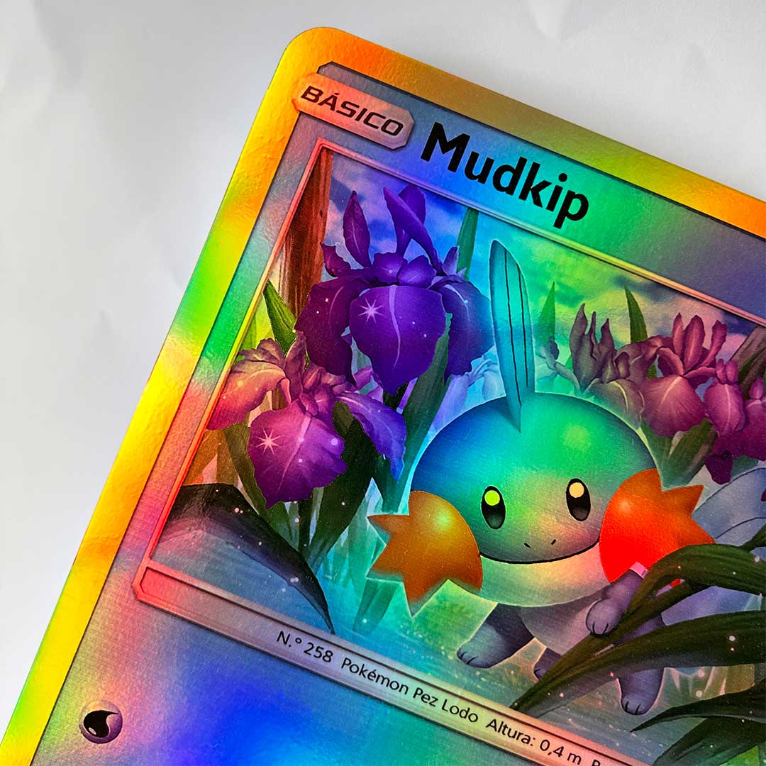 Cuadro Decorativo PKMN TCG Mudkip