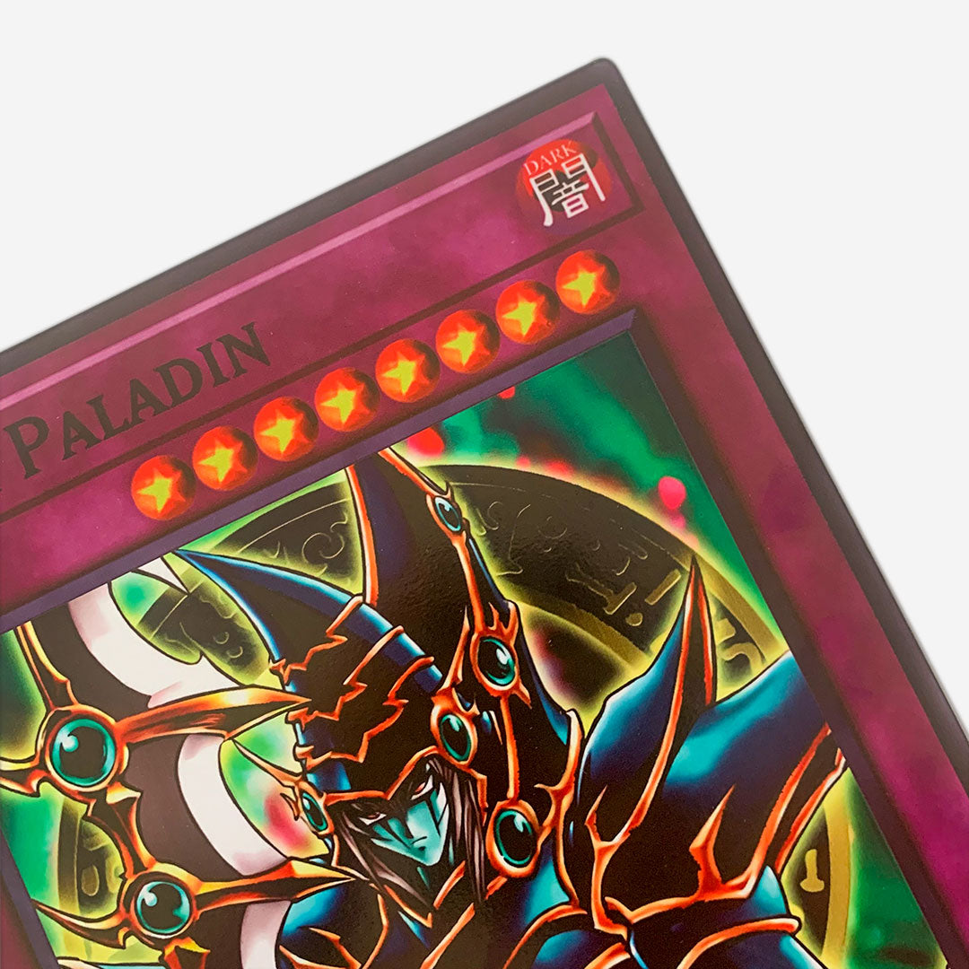 Cuadro Decorativo YuGi Dark Paladin