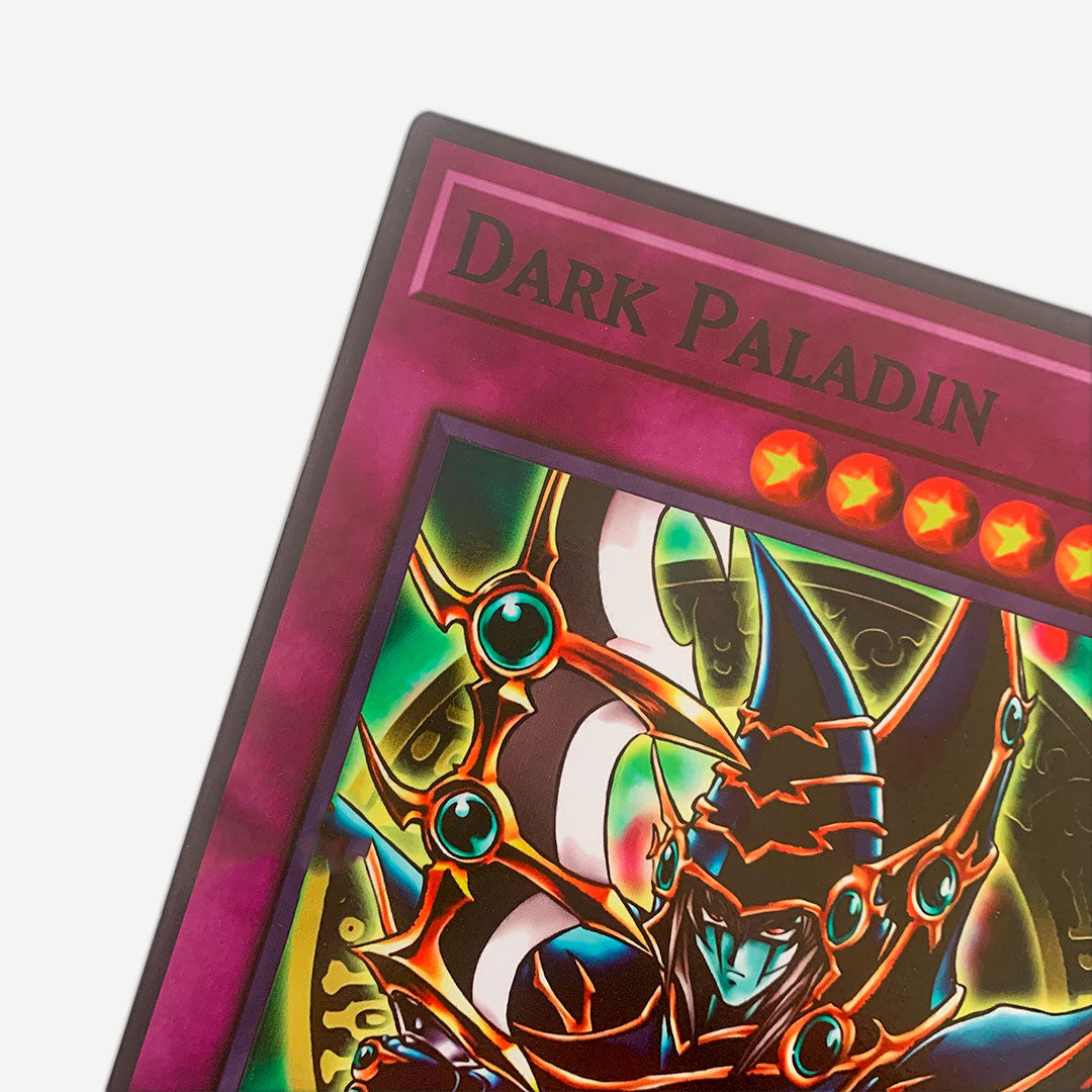 Cuadro Decorativo YuGi Dark Paladin